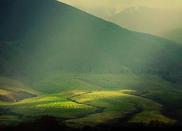 手机号测压在线平台